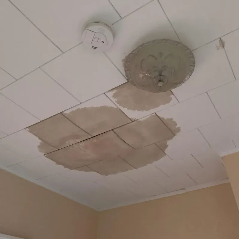 Ceiling Water Damage Repair in McKownville, NY