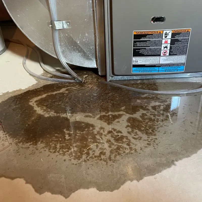 Pipe Burst and Leak Restoration in McKownville, NY